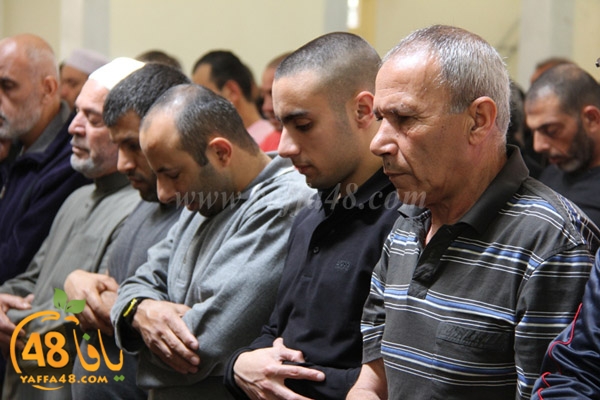 Kosoof salah (3).JPG